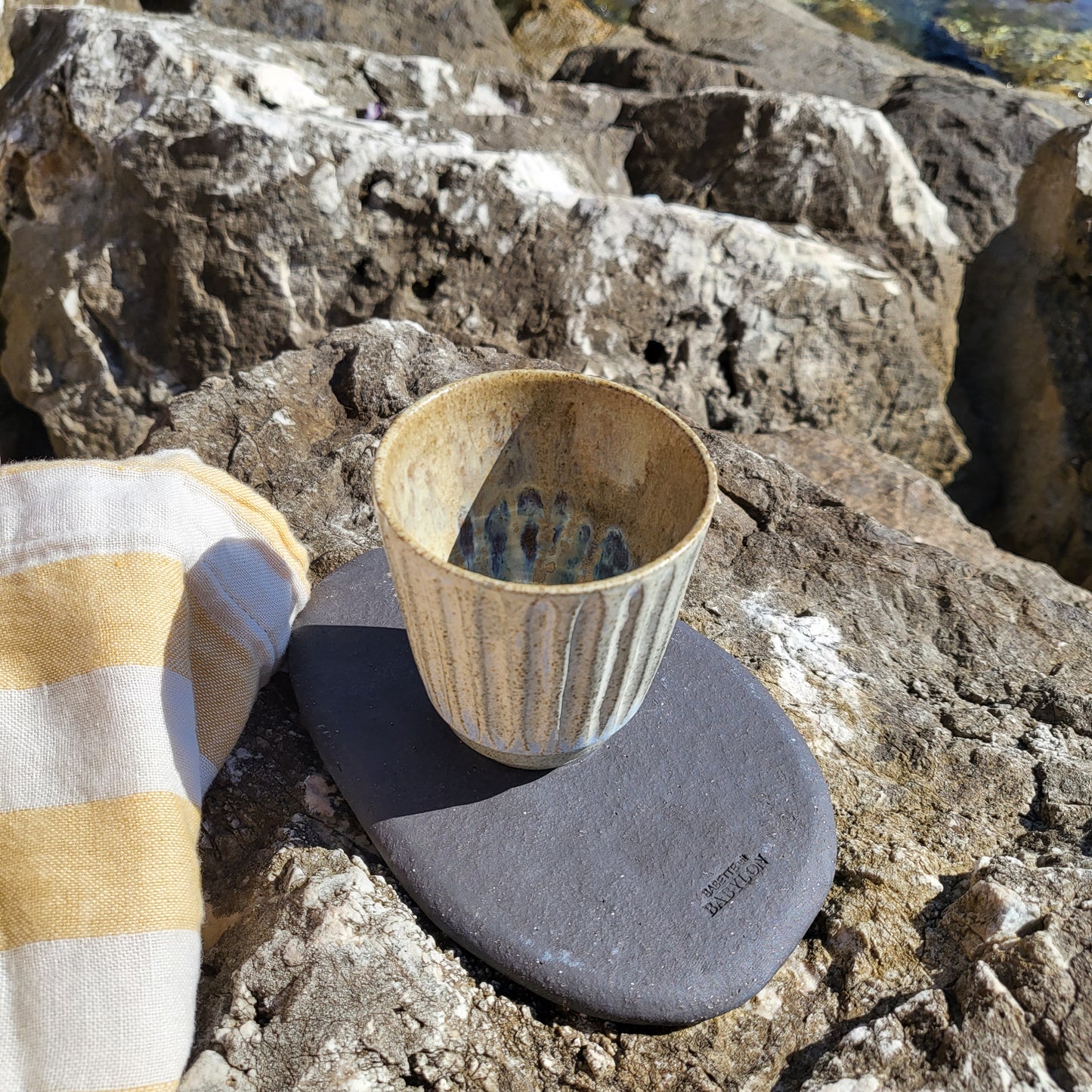 Tumbler Oyster